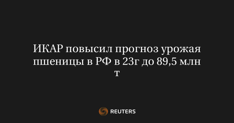 ИКАР повысил прогноз урожая пшеницы в РФ в 23г до 89,5 млн т