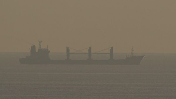Украинский торговый коридор в Черном море заработал в полную силу вопреки российской блокаде