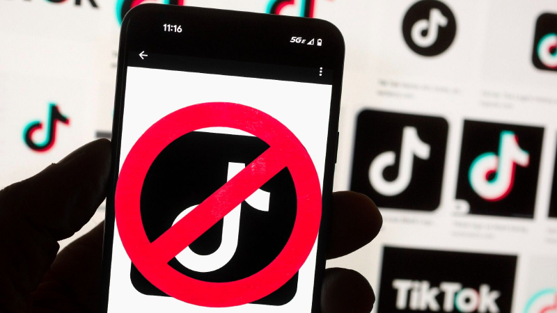 В каких странах и почему TikTok попал в опалу? В чём связь с военными конфликтами?