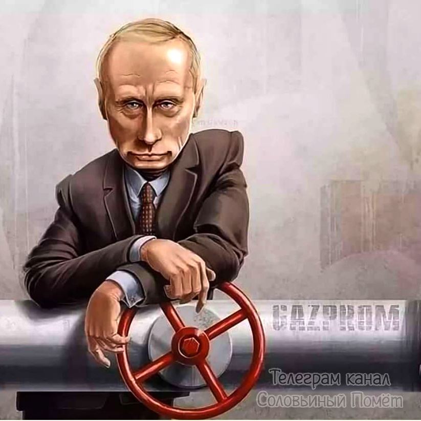 Газовые проблемы в газовой путиномики России