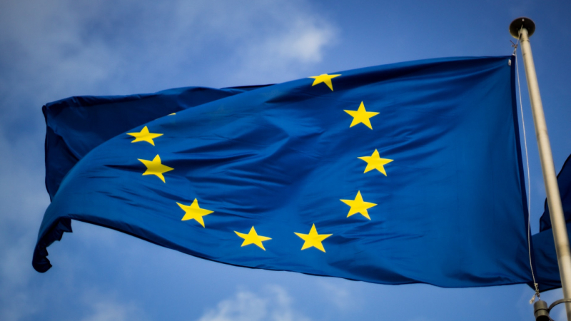 В&nbsp;Европарламенте предложили выдавать спецпаспорта выступающим против войны с&nbsp;Украиной россиянам