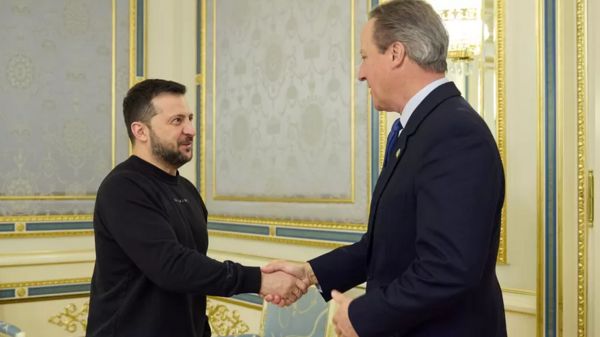 Кэмерон в Киеве пообещал Украине  поддержку &laquo;столько, сколько потребуется&raquo;