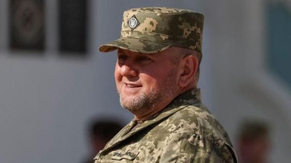 &laquo;Паника и зрада&raquo;: что происходит вокруг главкома ВСУ Залужного