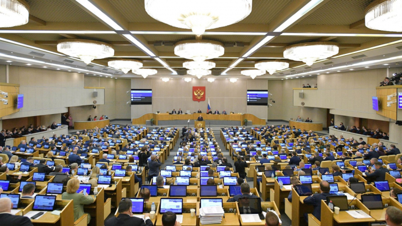 В&nbsp;Госдуму внесли закон о запрете абортов в&nbsp;частных клиниках по всей России
