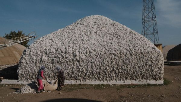 Порох, хлопок и принудительный труд. Кто поставляет сырье российским оружейным заводам?
