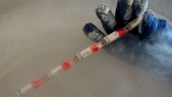 Скандал со спермой погибших военных ВСУ: почему ее хотели уничтожить и как планировать посмертное отцовство
