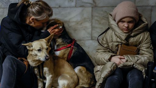 &laquo;Мама, папа, спасибо, что голосовали за Путина&raquo;. Последствия обстрела Киева в ночь на 21 марта