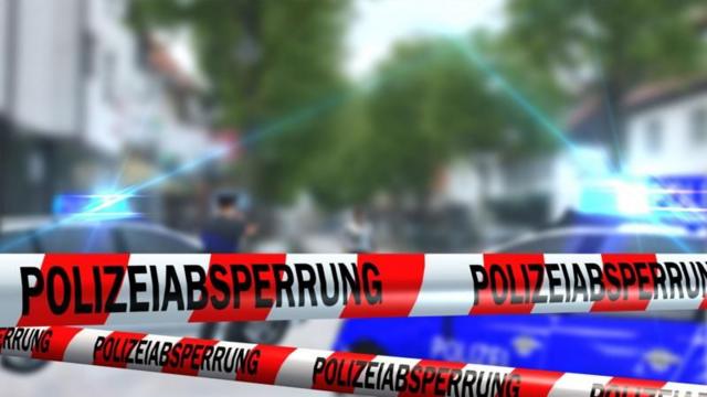 В Германии зарезаны двое военнослужащих ВСУ. По подозрению в их убийстве арестован гражданин России